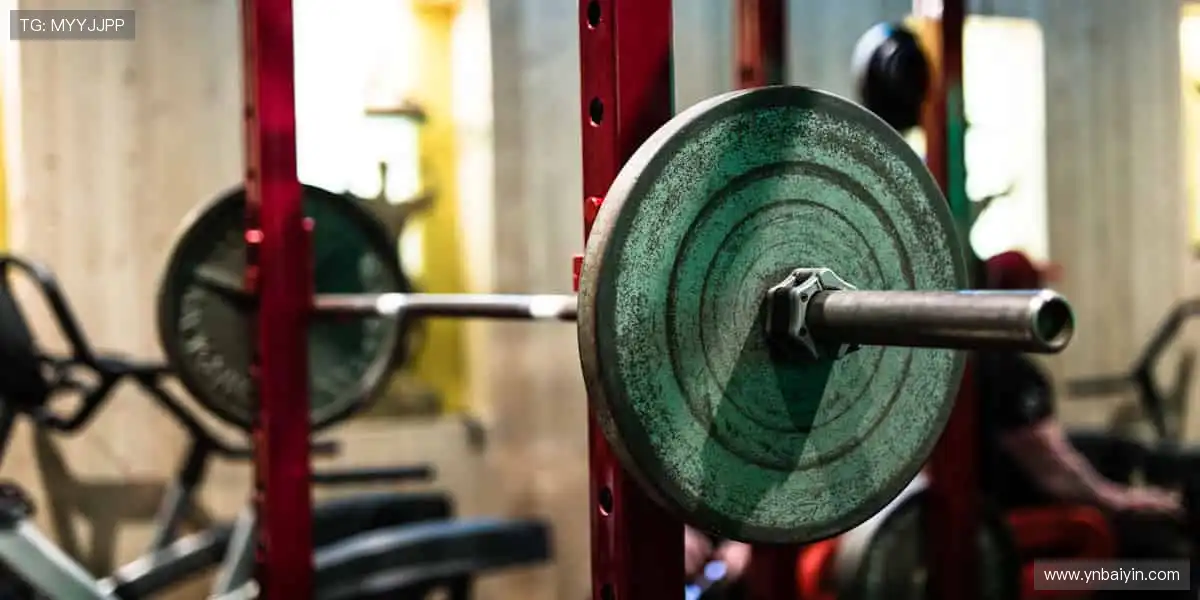 🎉 冠军之路,与你同在,